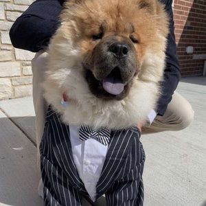 Meet your Posher, Natalie